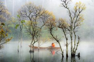 74- Hồ Tuyền Lâm mùa cây Chò thay lá – Vũ Bảo Ngọc