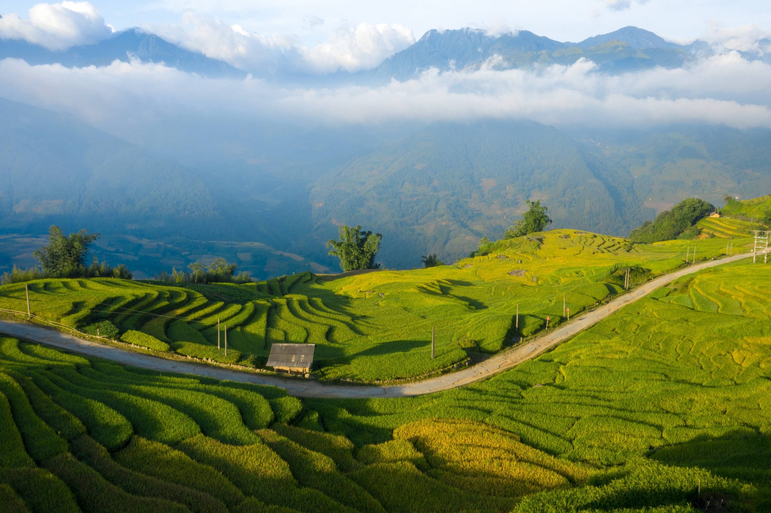 85- Miền Biên Viễn Y Tý – Nguyễn Minh Tiến