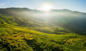 85- Miền Biên Viễn Y Tý – Nguyễn Minh Tiến