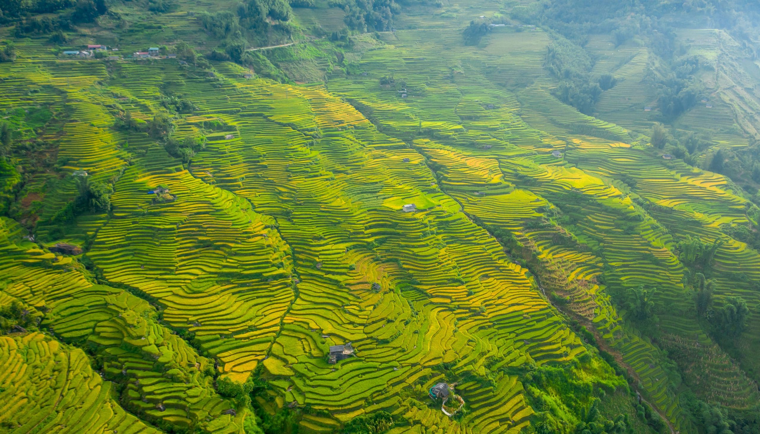 85- Miền Biên Viễn Y Tý – Nguyễn Minh Tiến