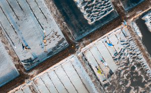 92- Nét Đẹp Lao Động Nghề Làm Muối – Nguyễn Đặng Việt Cường