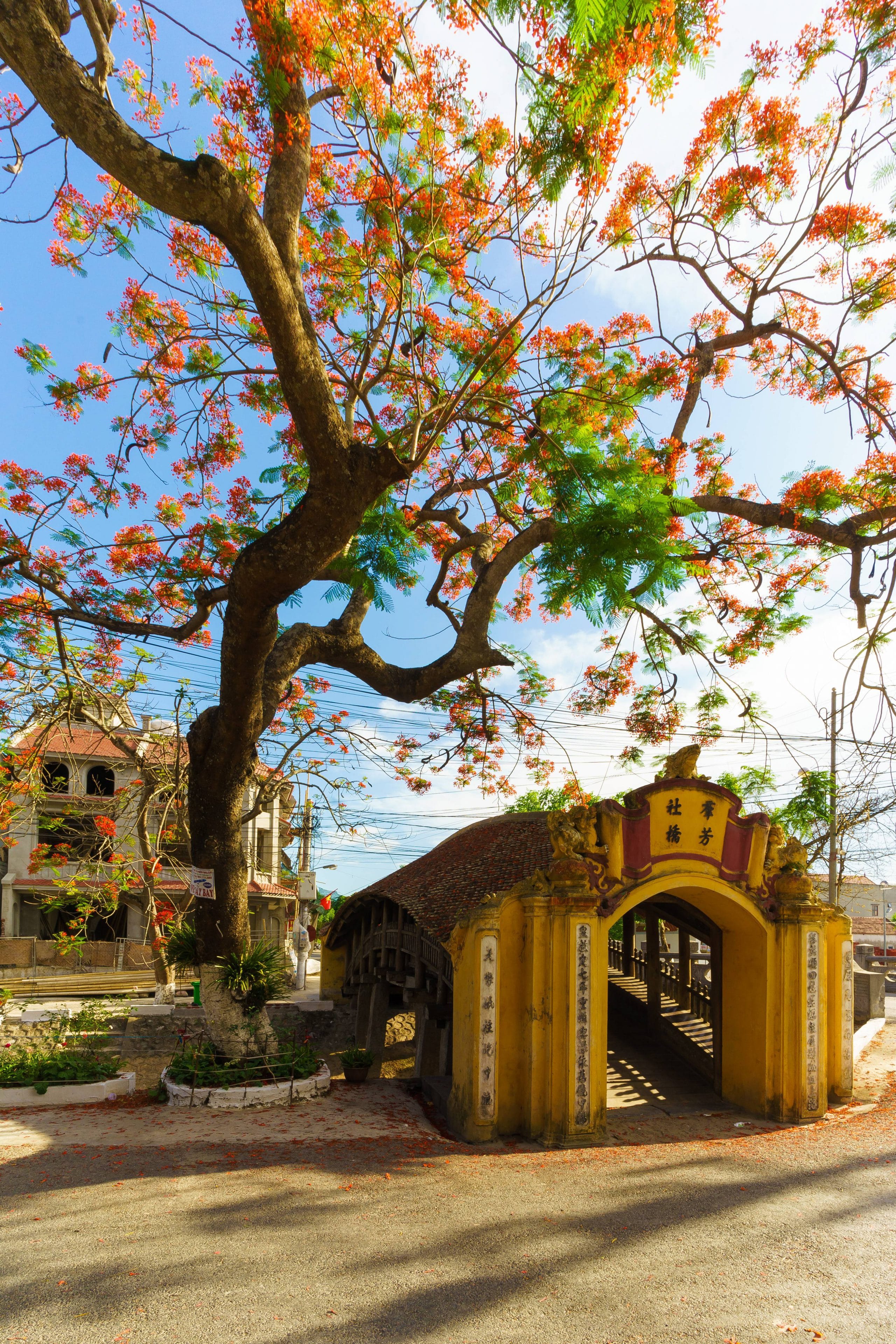 64- Cầu ngói Chợ Lương – Trương Công Hiệp