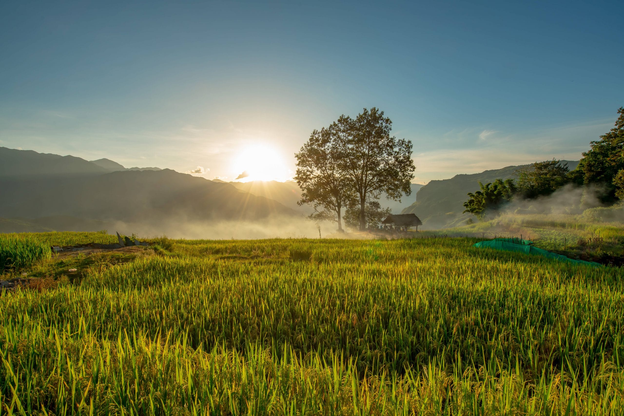85- Miền Biên Viễn Y Tý – Nguyễn Minh Tiến