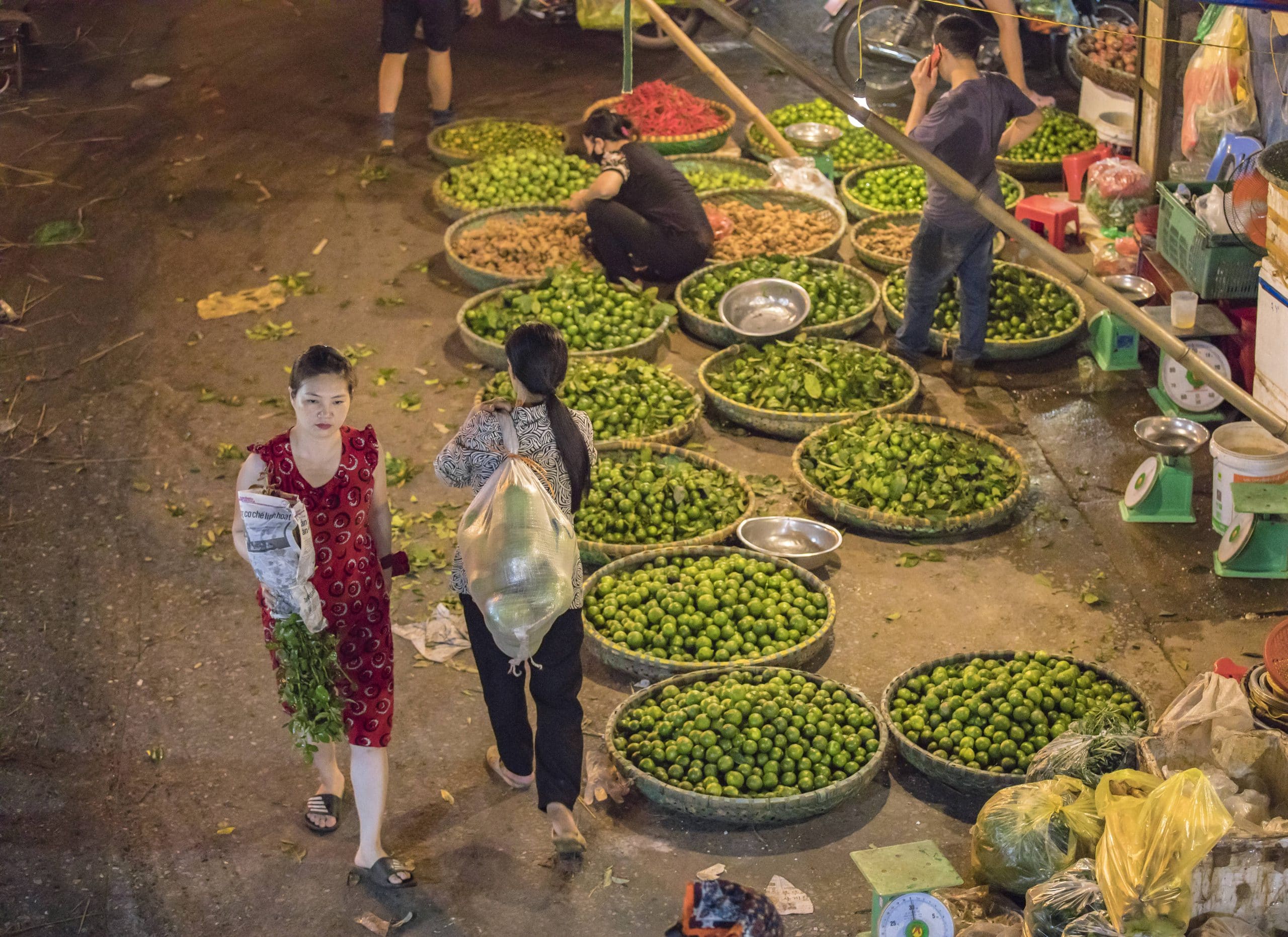 91- Vẻ đẹp của Hà Nội – Nguyễn Thế Dương