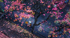 Hà Nội và Hội An nằm trong top 25 điểm đến nổi tiếng