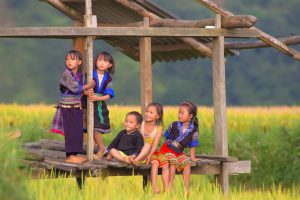 87- Những cảm xúc Mù Cang Chải – Mai Xuân Lợi