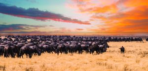 Outdoor adventures in autumn