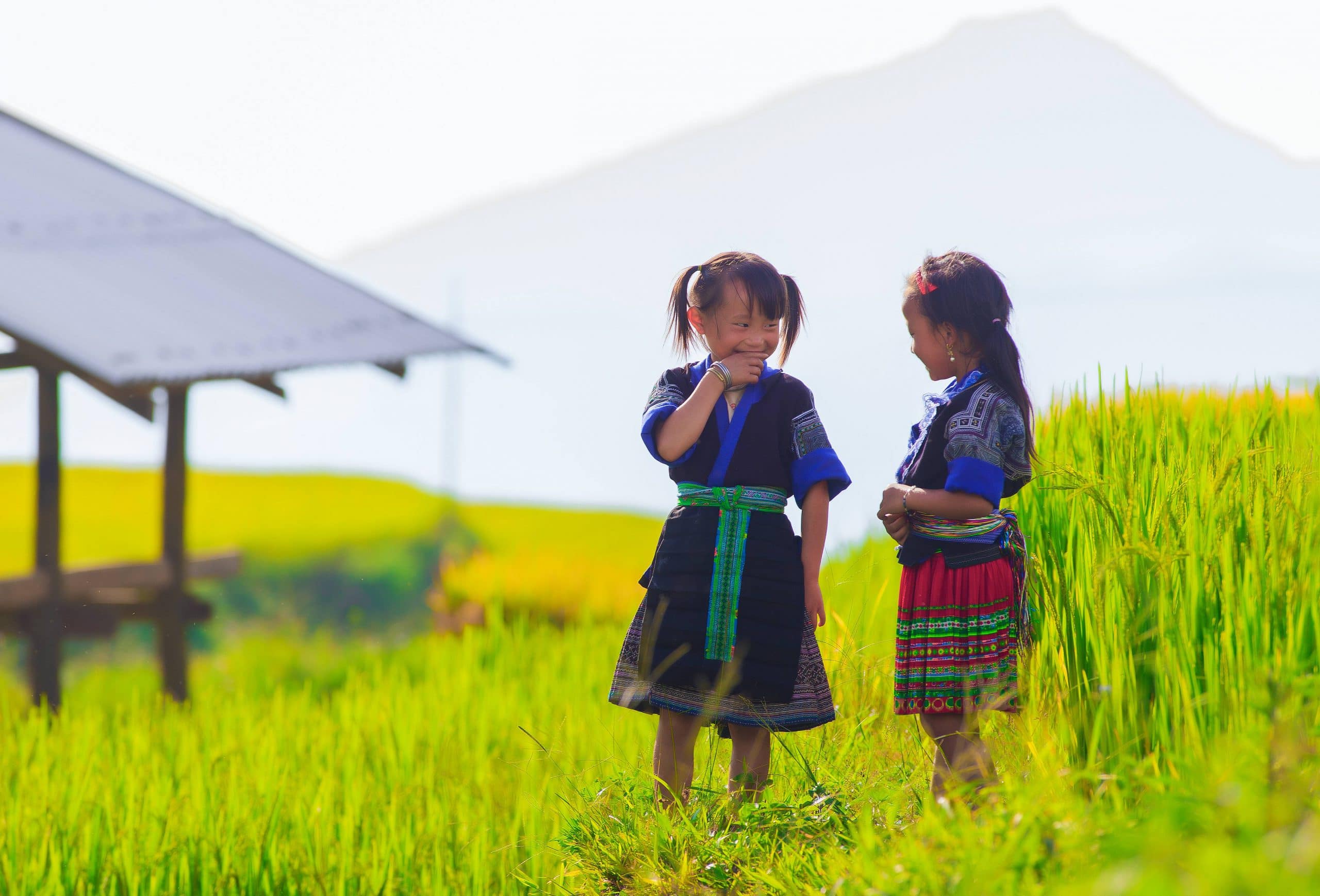 87- Những cảm xúc Mù Cang Chải – Mai Xuân Lợi