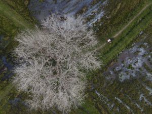 The wild magic of Tay Ninh