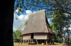 High and low and far and wide