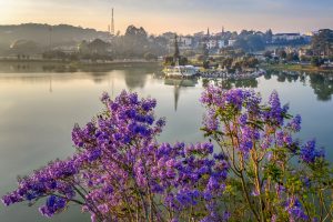 Memories in the mist