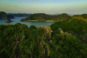 Kiệt tác xanh giữa lòng di sản