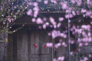 Bright and beautiful