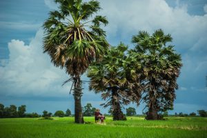 Cảnh đẹp đất Hà Tiên
