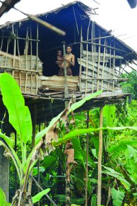 Into the world of adventure – West Papua