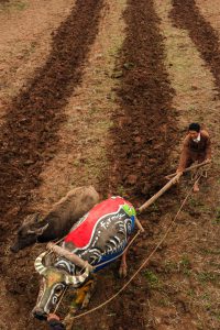 Hopes and wishes in the spring time