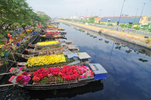 A New Beginning – The role of flowers in the Vietnamese New Year