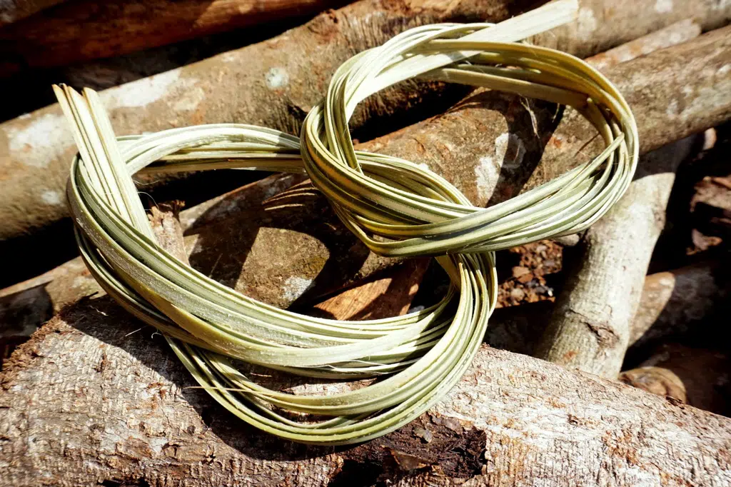 vo-cay-etieng-a-che-nho-va-luoc-chin-dung-e-phuc-che-cong-cu-keo-soi