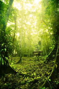 Borneo – vùng đất của thiên nhiên kỳ thú