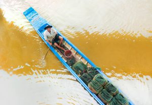 The flavors of the delta