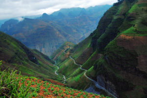 Cõi đá Đồng Văn