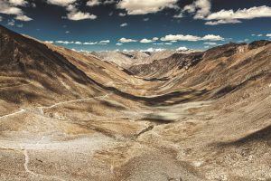 When wild hearts beat