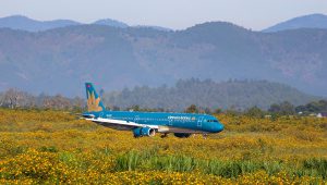 Vietnam Airlines mở loạt đường bay mới phục vụ cao điểm hè