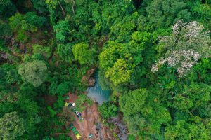 Những cung đường trekking ở Quảng Bình