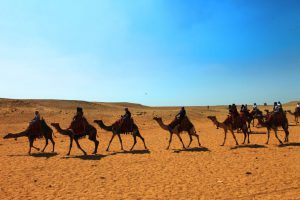 Trong sa mạc trắng