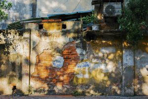 Mùa vàng trên phố