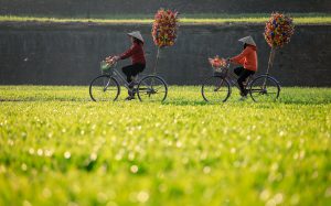 Chợ Tết miền quê