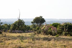 Hành trình kỳ vĩ nhất của Trái Đất