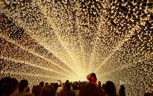 Dạo chơi miền tuyết trắng