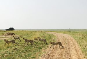 The greatest journey on Earth