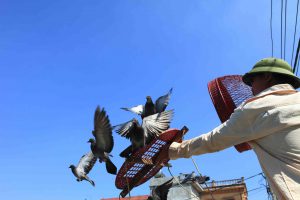 Thú chơi tao nhã chốn hương quê