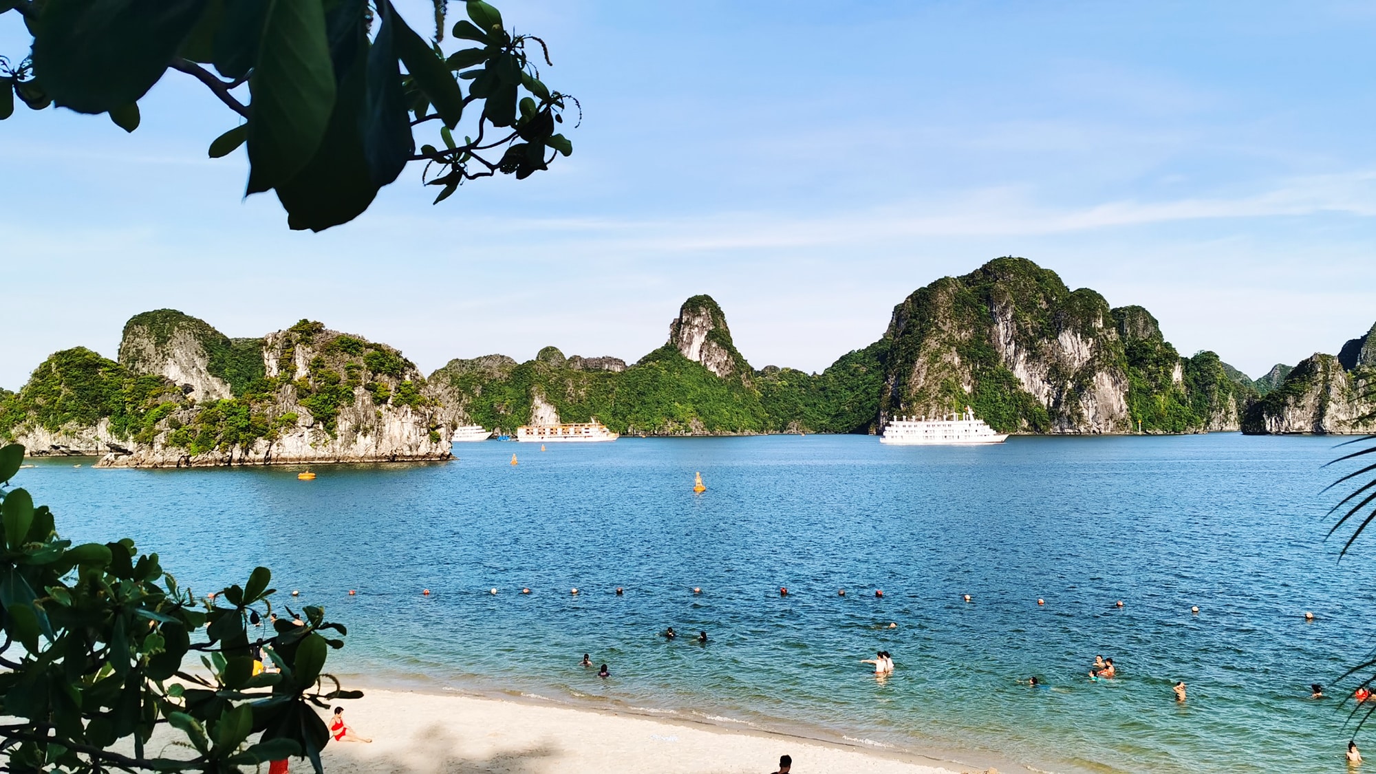 Đảo Ti Tốp Hạ Long là di sản thiên nhiên thế giới