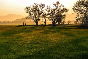 Nghệ thuật gốm ở xứ sở Thần Đá