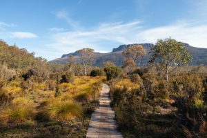 Trekking in Tasmania