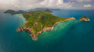 Giấc mơ xanh thẳm