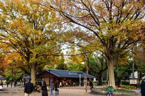 5 iconic landmarks of Tokyo