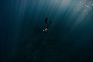 Ngắm san hô biển bạc