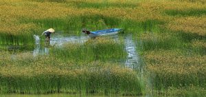 Thủy lộ tấp nập