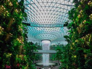 Singapore ngày trở lại