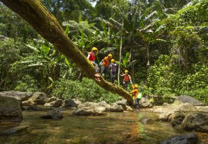 A different kind of journey