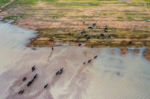 Du lịch xanh Tây Ninh