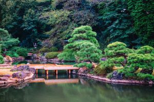 Những khu rừng ẩn mình giữa Tokyo