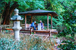Tokyo’s hidden forests