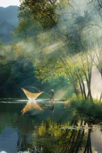 Gently by the stream