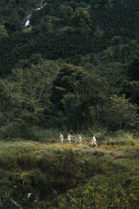 Nơi tưởng lạ hóa lại quen