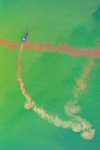 In the green algae season